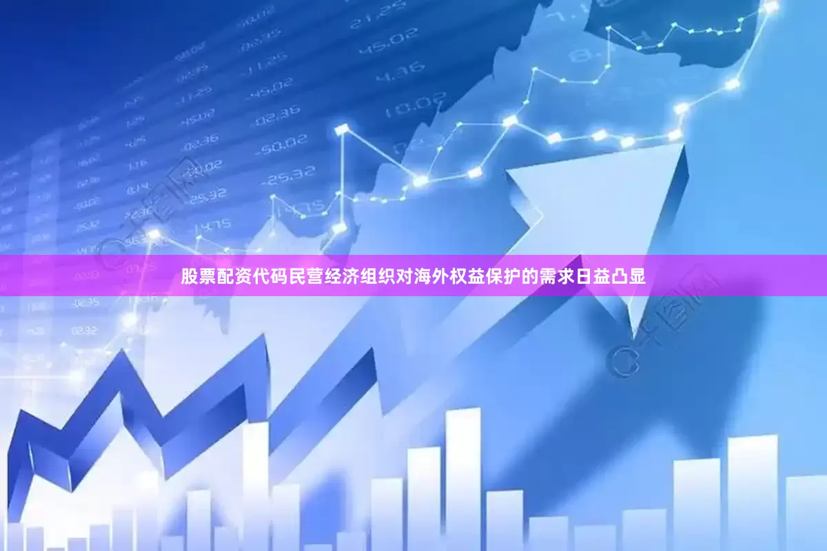 股票配资代码民营经济组织对海外权益保护的需求日益凸显