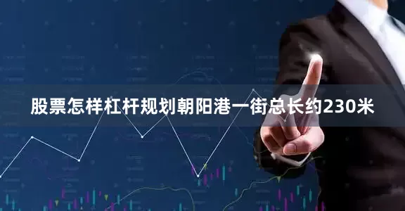 股票怎样杠杆规划朝阳港一街总长约230米