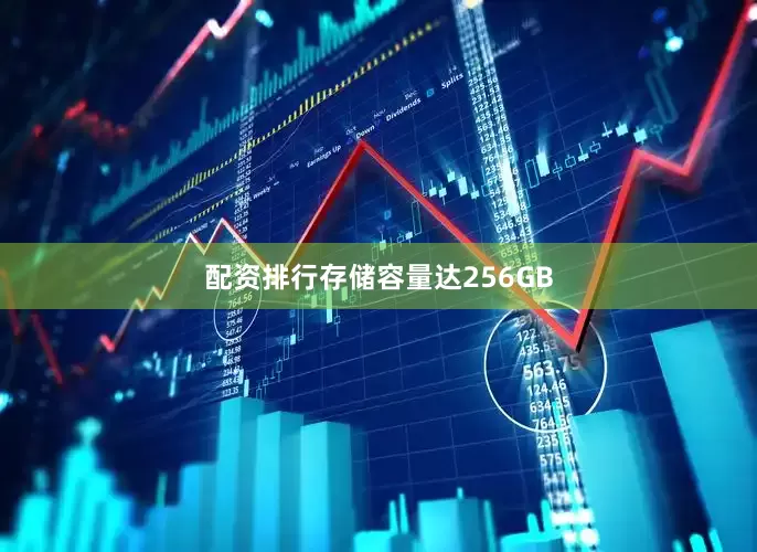 配资排行存储容量达256GB